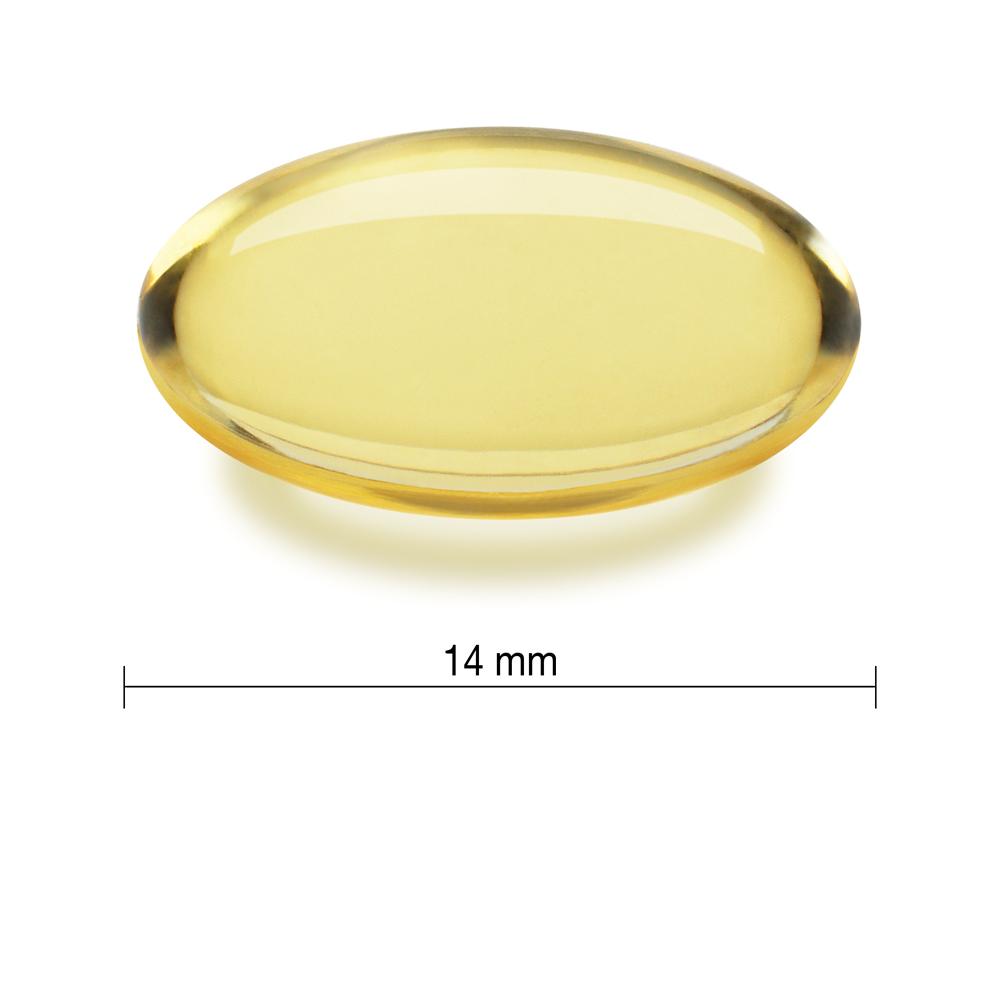 AGLIO EXTRA 100 sft - immagine 2