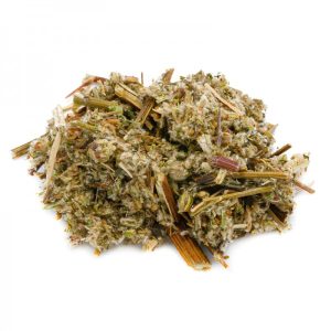 Artemisia Volgare Taglio Tisana