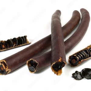 Cassia fistula canne