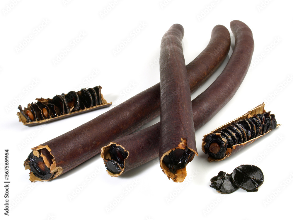 Cassia fistula canne