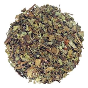 Ortosiphon (Tè di Java) t.t.